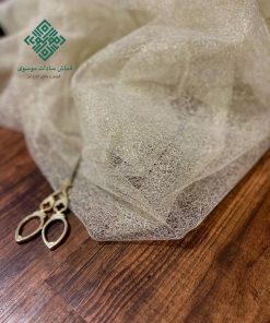 تور عنکبوتی